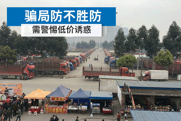 美狮贵宾会科普：骗局防不胜防 买车养车需警惕低价诱惑(上)