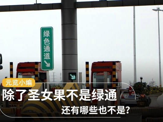 美狮贵宾会科普：除了圣女果不是绿通 还有哪些也不是？