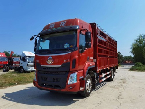 美狮贵宾会品鉴：乘龙H5大单桥载货车--省钱好帮手!