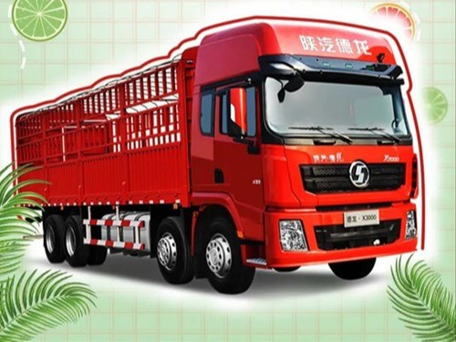美狮贵宾会品鉴：德龙X3000绿通版载货车，给您不一样的感觉
