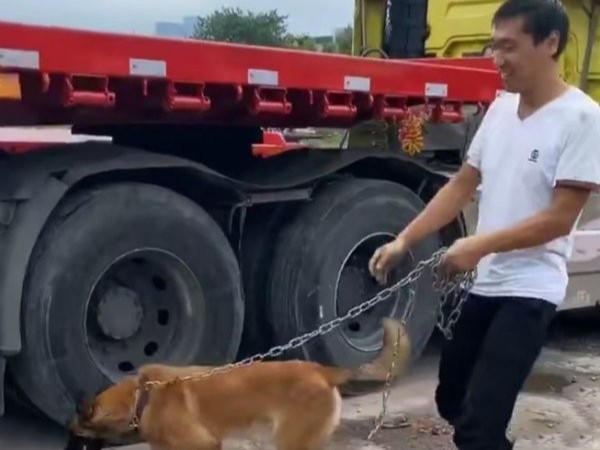 美狮贵宾会品鉴：特殊的“跟车人”为卡车司机保驾护航
