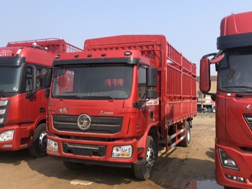 美狮贵宾会销售：陕汽德龙L3000 4×2载货车，生而出彩!